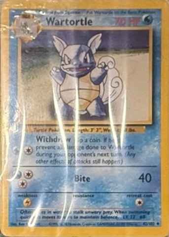 Detected Wartortle #42 — click to enlarge