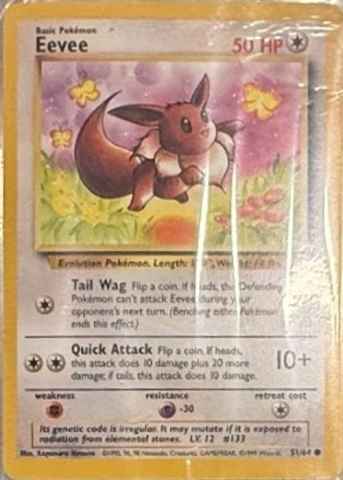 Detected Eevee #51 — click to enlarge