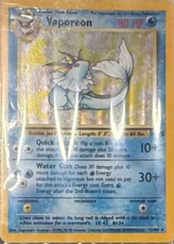 Detected Vaporeon #12 — click to enlarge