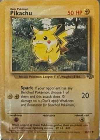 Detected Pikachu #60 — click to enlarge