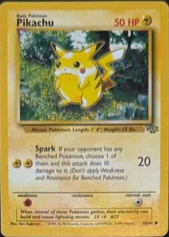 Detected Pikachu #60 — click to enlarge