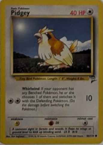 Detected Pidgey #57 — click to enlarge