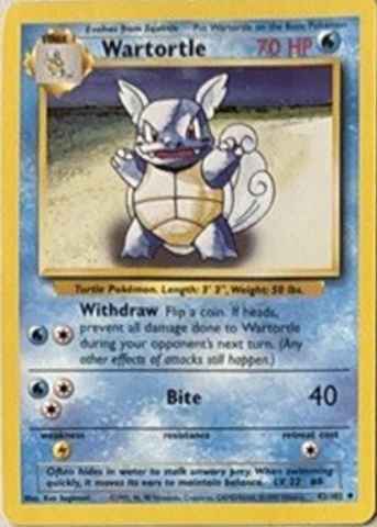 Detected Wartortle #63 — click to enlarge