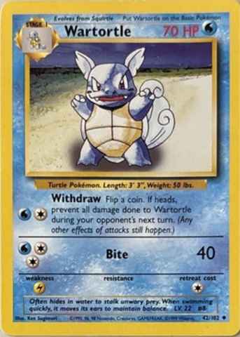 Detected Wartortle #42 — click to enlarge