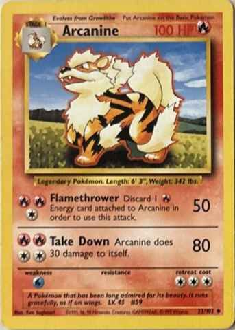 Detected Arcanine #23 — click to enlarge