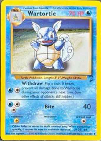 Detected Wartortle #63 — click to enlarge
