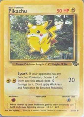 Detected Pikachu #60 — click to enlarge