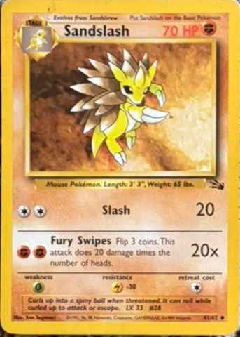 Detected Sandslash #41 — click to enlarge