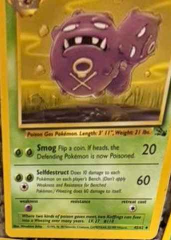Detected Machop #52 — click to enlarge